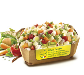 MINESTRONE 13 VERDURE