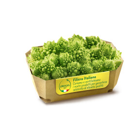 CAVOLFIORE ROMANESCO